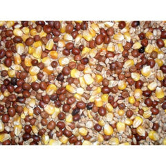 Jeff Park Pigeon Corn